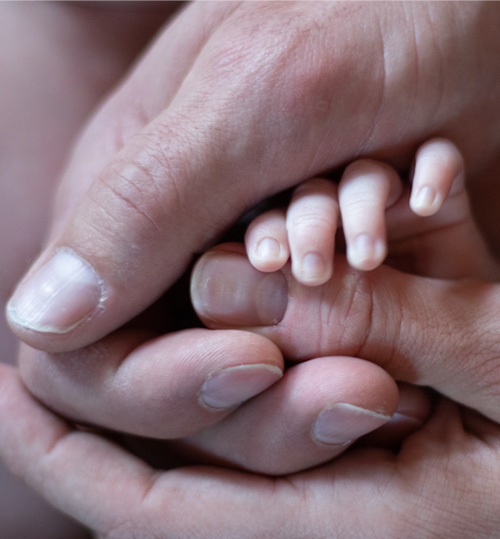 An adult's hand holding an infant's hand