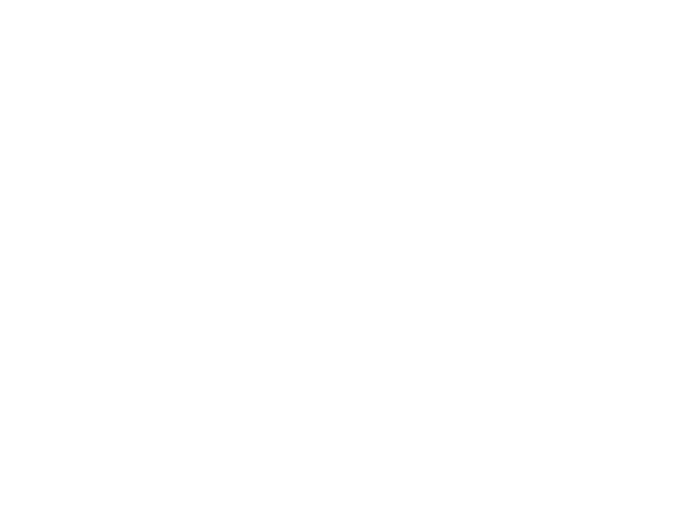 The Mount Sinai 100 Experiance